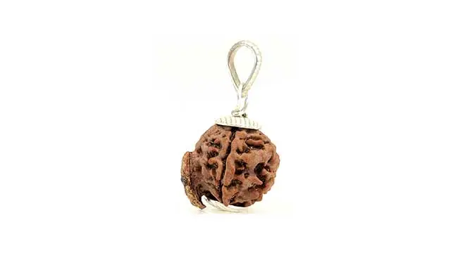 5 Mukhi Ganesh Rudraksha Pendant