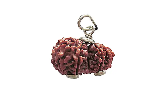 9 Mukhi Gauri Shankar Rudraksha Pendant