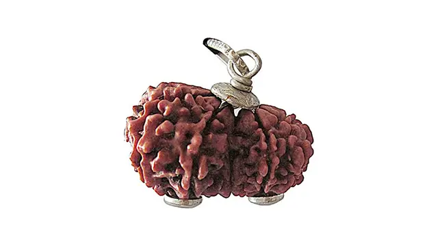 9 Mukhi Gauri Shankar Rudraksha Pendant