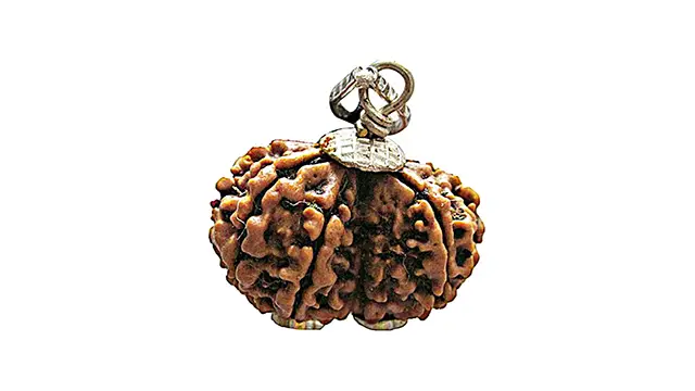 9 Mukhi Gauri Shankar Rudraksha Pendant