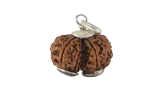 9 Mukhi Gauri Shankar Rudraksha Pendant