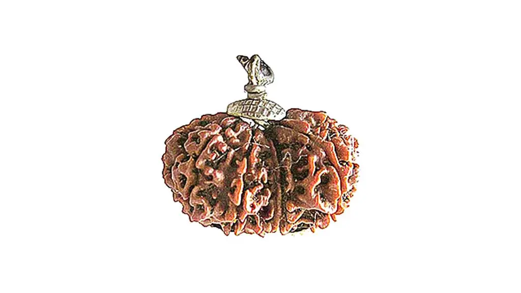 10 Mukhi Gauri Shankar Rudraksha Pendant