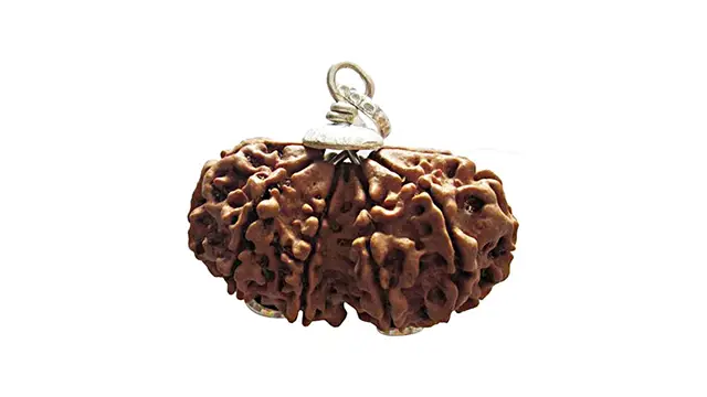 12 Mukhi Gauri Shankar Rudraksha Pendant